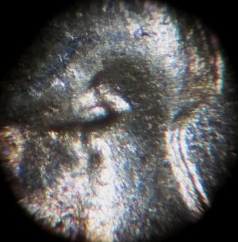 1943-P-LWC-Doubled-Eyelid?