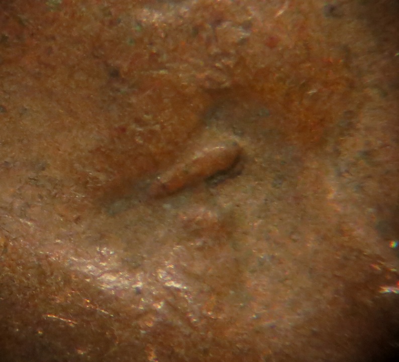 1948-P-LWC-Doubled-Eye-Lid
