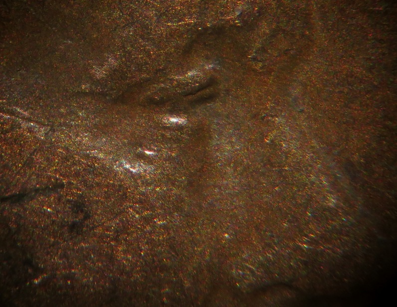 1944-P-1-DO-017-?