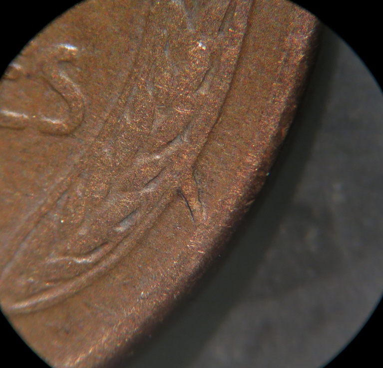 1929-S-LWC-Reverse