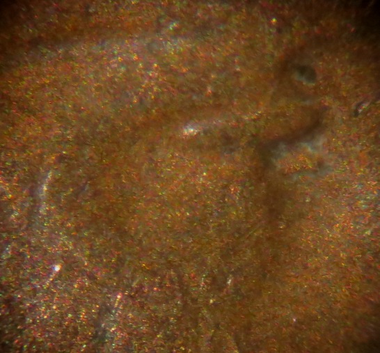 1945-P-LWC-Doubled-Eyelid