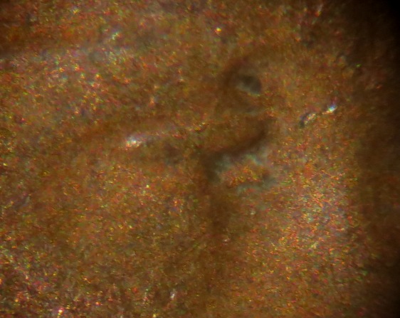 1945-P-LWC-Doubled-Eyelid