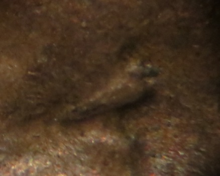 1944-D-LWC-Doubled-Eyelid-Or-PMD?