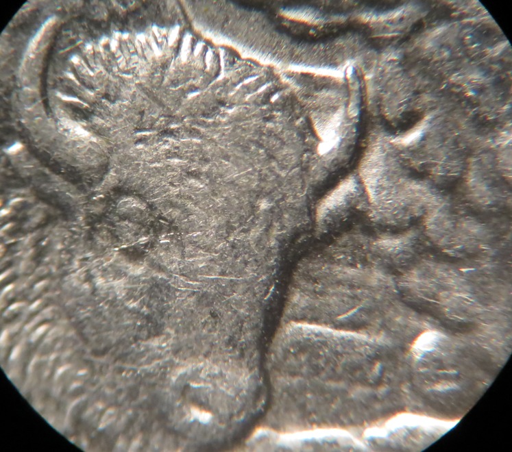 2010-Yellowstone-Quarter-Error