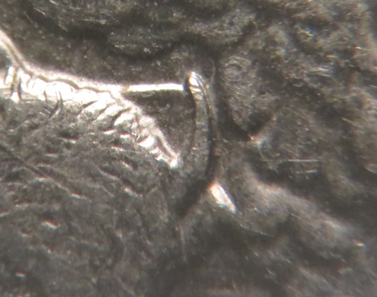 2010-Yellowstone-Quarter-Error