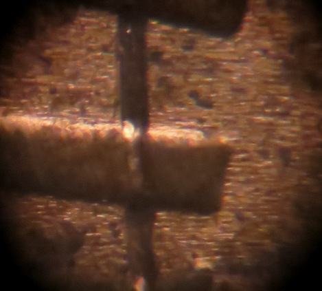 2005-D-LMC-Struck-Through-Or-PMD?