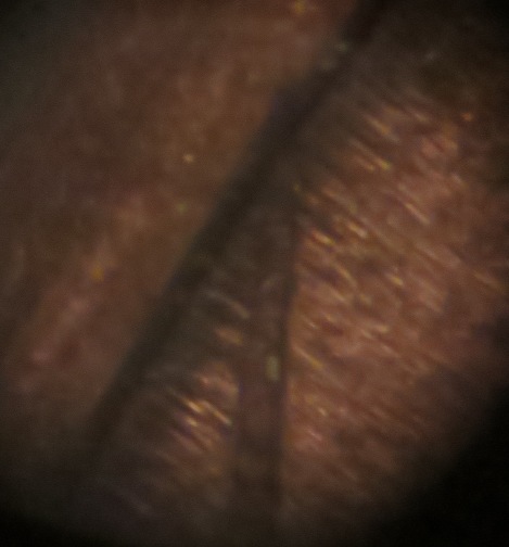 2005-D-LMC-Struck-Through-Or-PMD?