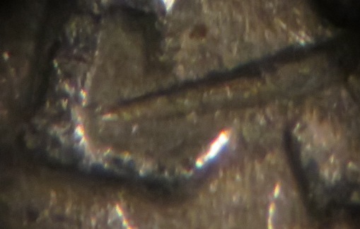 1983-P-Jefferson-Nickel-Struck-Through?