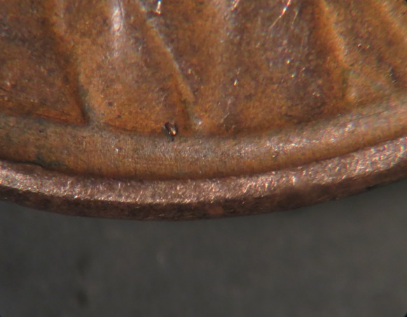 1934-P-1-DO-005-Please-Confirm