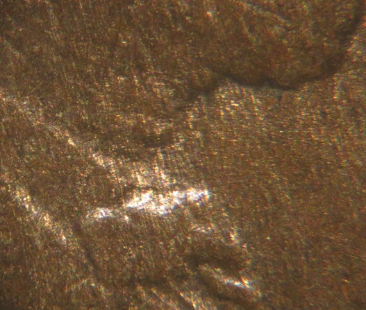 1909-1-DO-002-Not-Sure