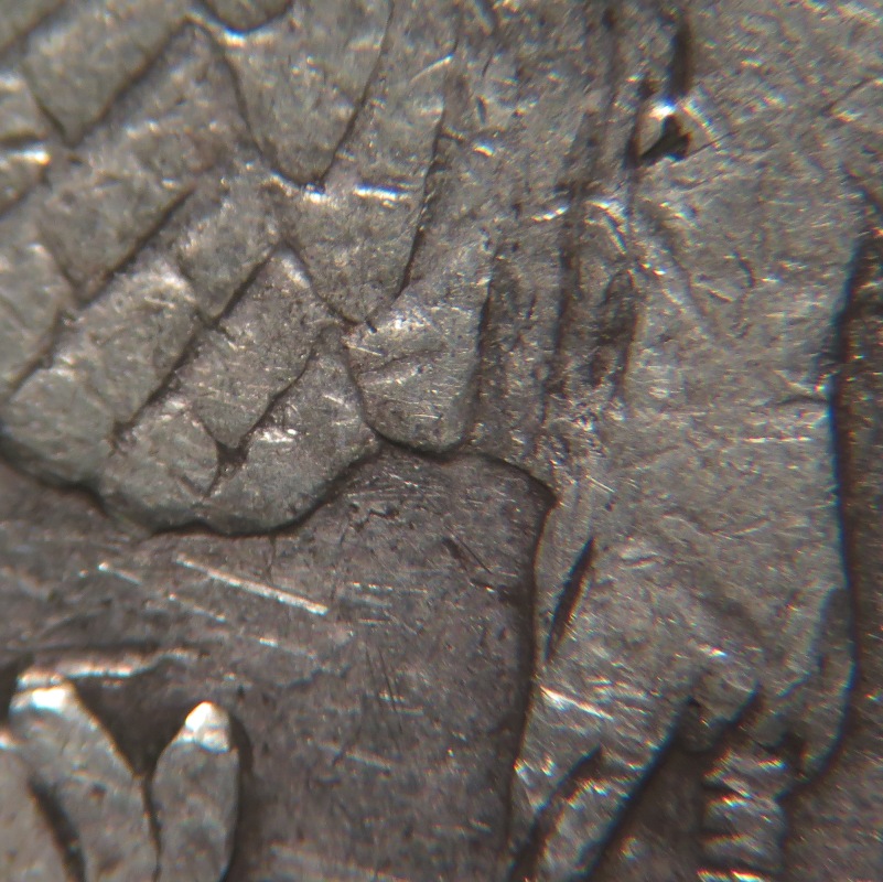 1879-S-Reverse-Of-1878?