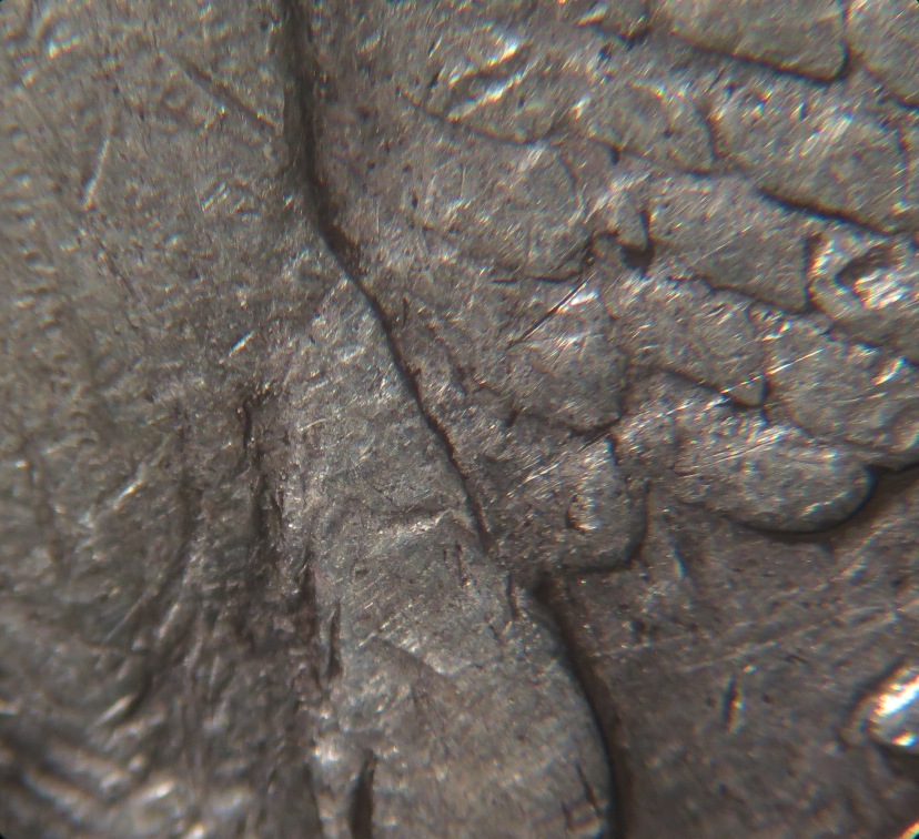 1879-S-Reverse-Of-1878?