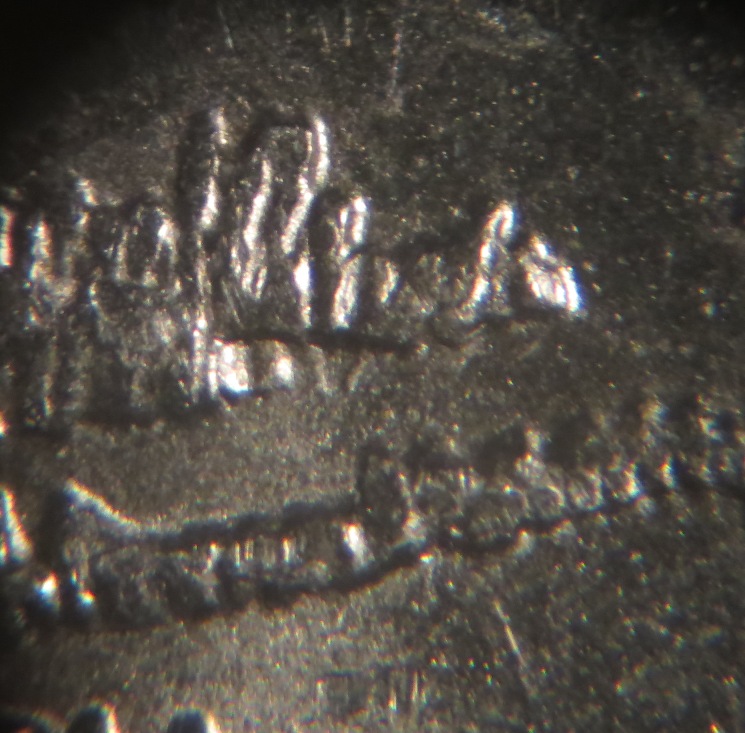 2015-P-Bombay-Hook-Quarter-WDDR-043---Not-Sure