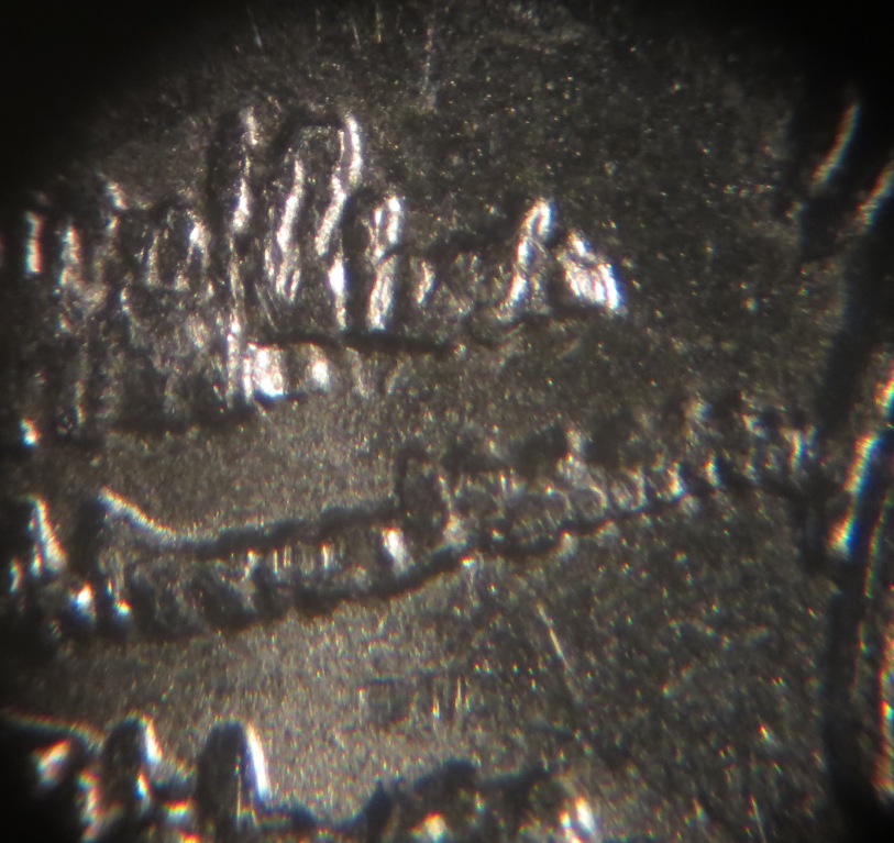 2015-P-Bombay-Hook-Quarter-WDDR-043---Not-Sure