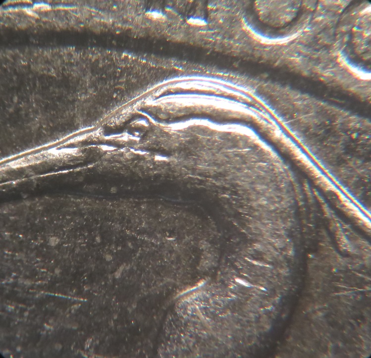 2015-P-Bombay-Hook-Quarter-WDDR-043---Not-Sure