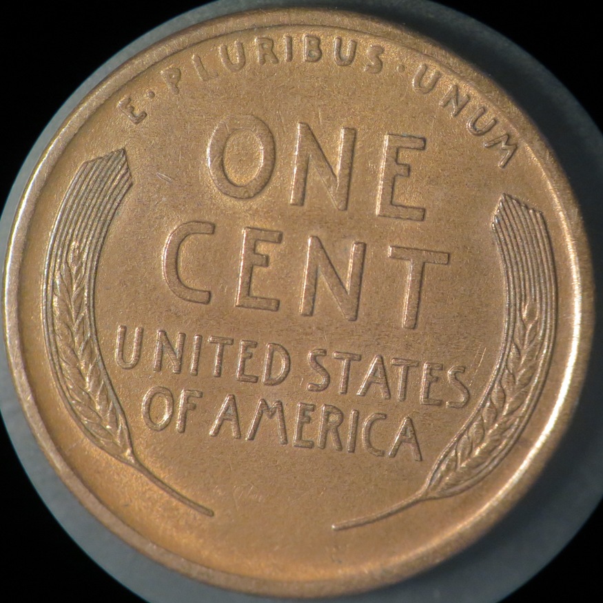 1909-S-Lincoln-Wheat-Cent---Grade?