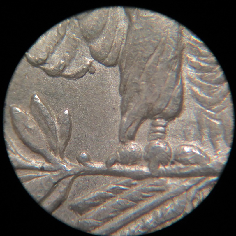 1921-P-Morgan-Dollar-VAM-8B?