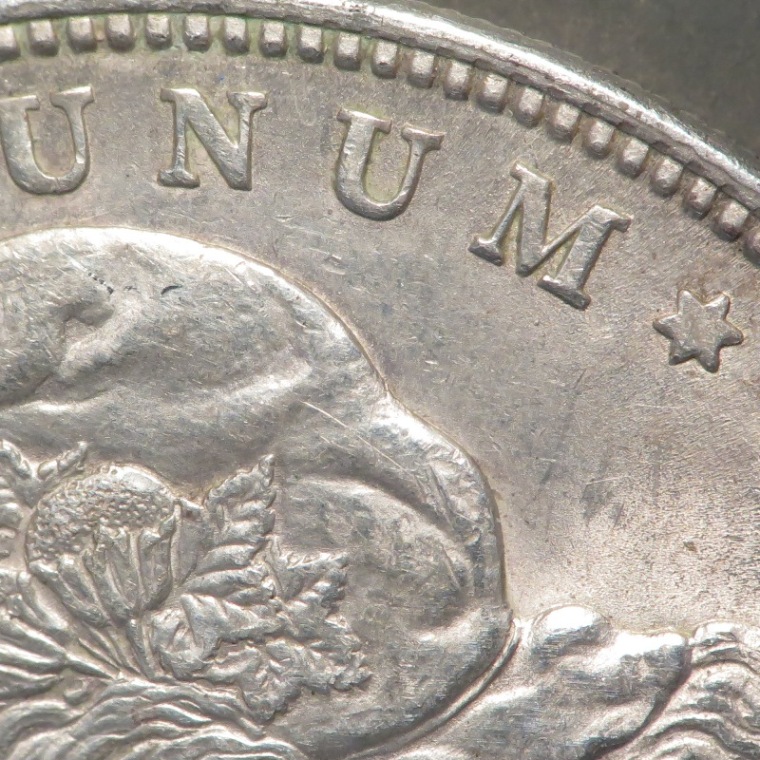 1921-P-Morgan-Dollar-VAM-8B?
