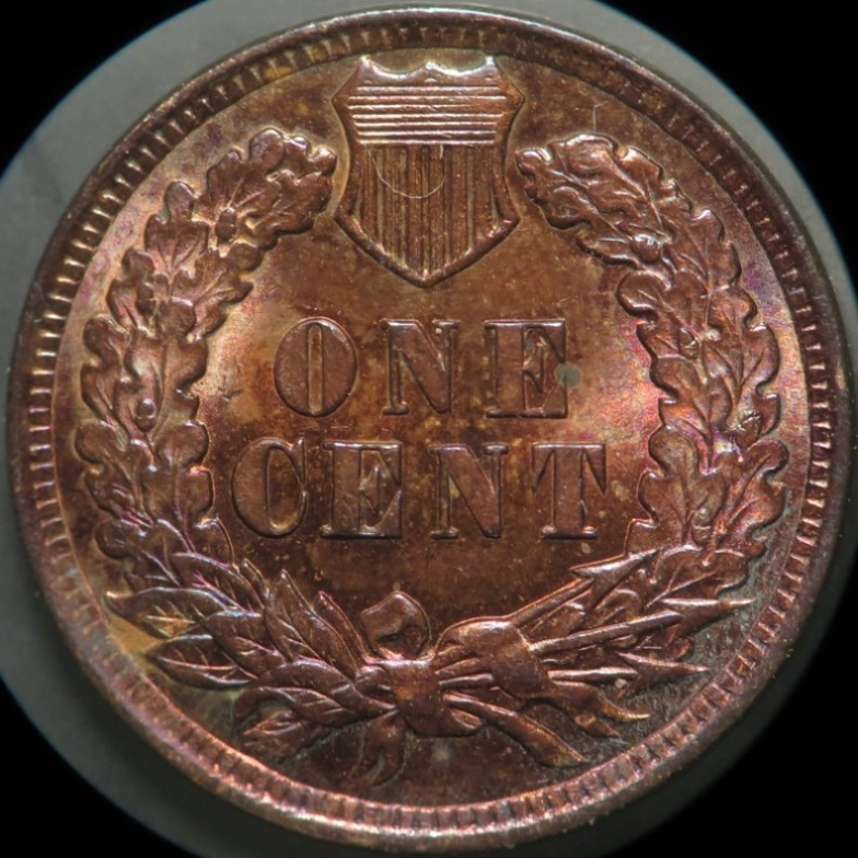 1902-IHC-S-18-For-Grading