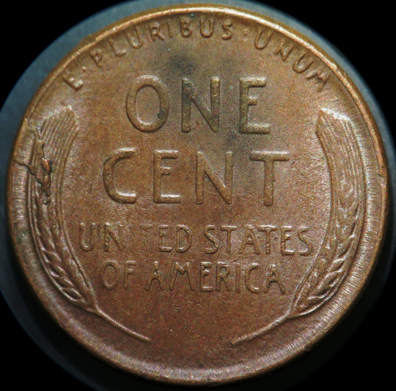 Post-Your-Examples-Die-Damaged-Coins.