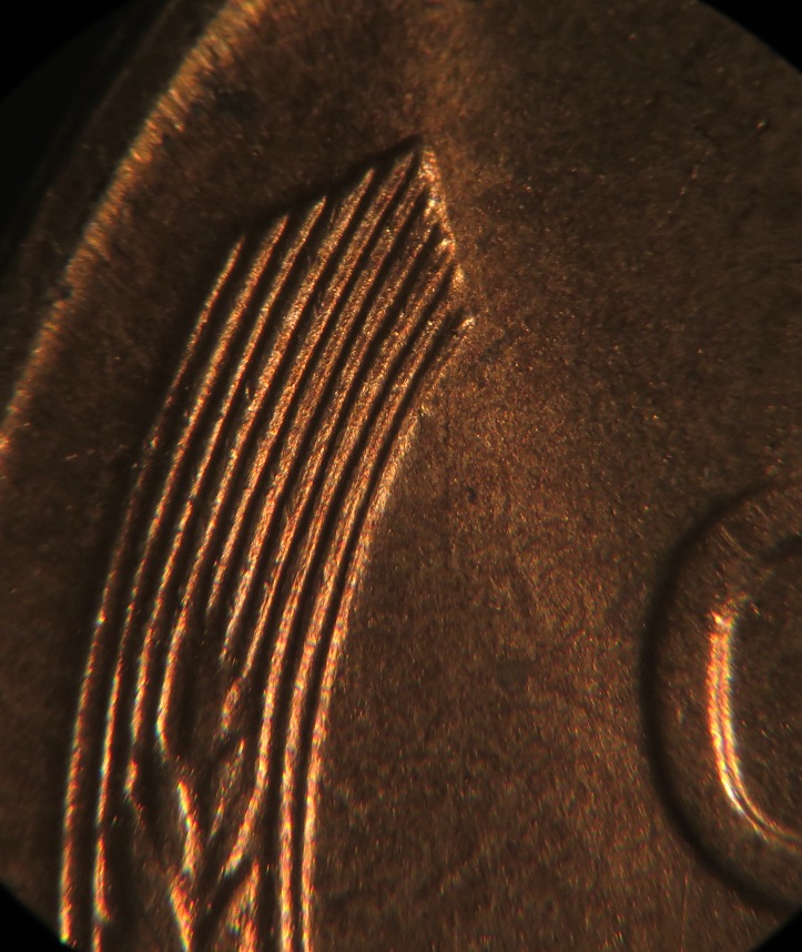 1946-S-LWC-DDO-003-From-Roll
