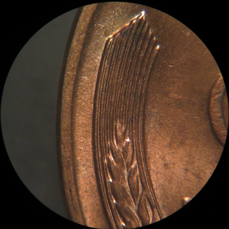 1955-D-LWC-DDO-002-Please-Help-Verify