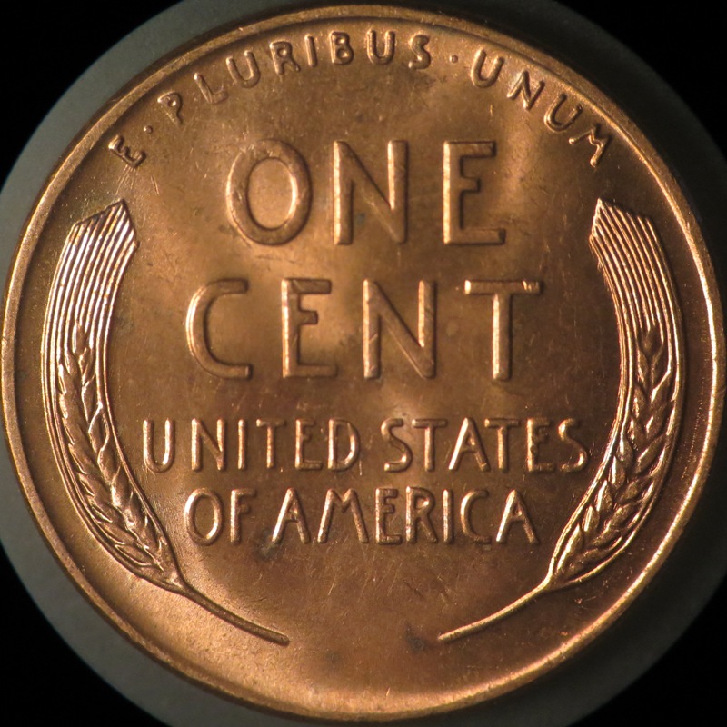 1955-D-LWC-DDO-002-Please-Help-Verify
