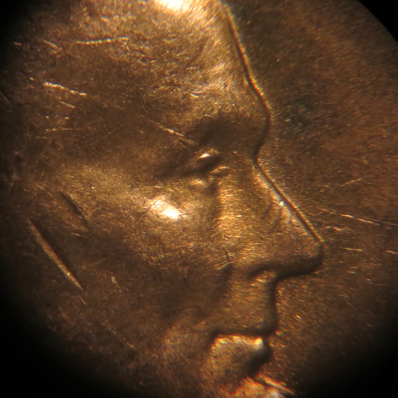 1955-D-LWC-DDO-002-Please-Help-Verify
