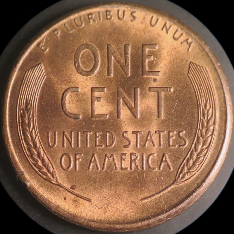 1950-S-LWC-WRPM-019-Plus-Lamination