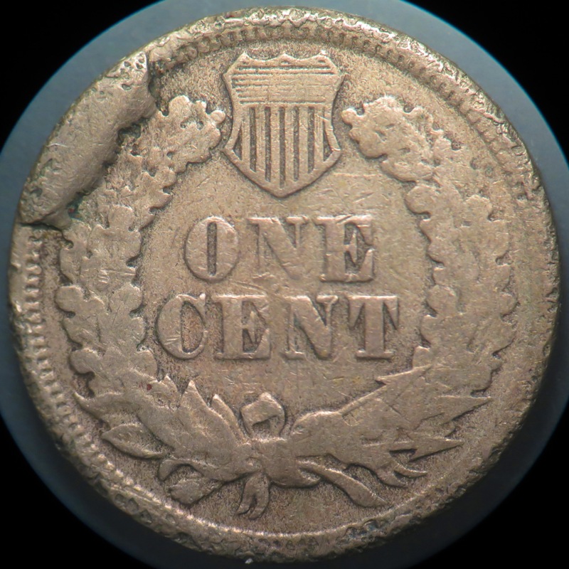1864-Cn-IHC-Cud-Reverse