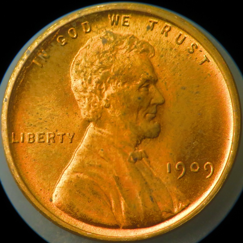 1909-VDB-DDO---1909-1�-WDDO-003