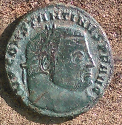 Constantinus-Thick-Neck