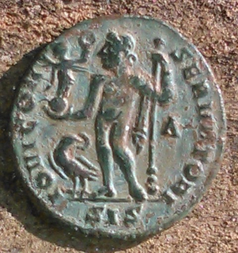 Constantinus-Thick-Neck