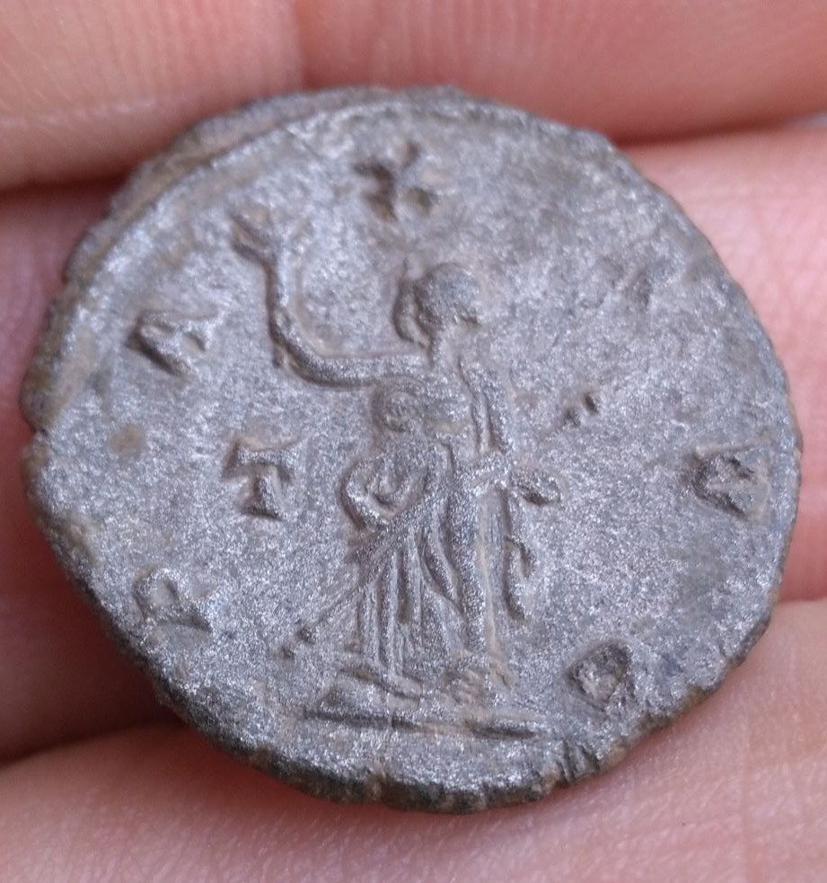 Gallenius-Pax-Avg-Silver