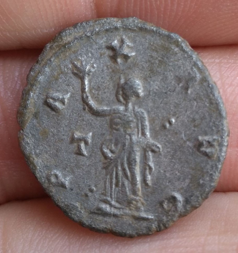 Gallenius-Pax-Avg-Silver