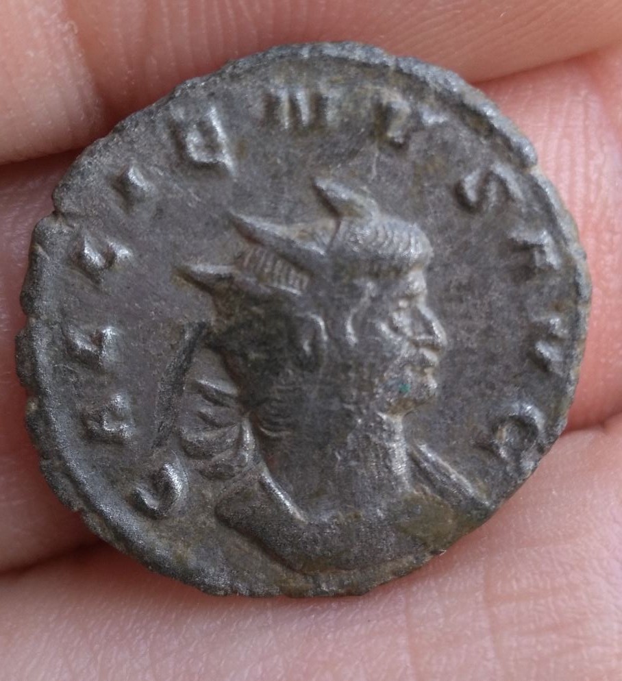 Gallenius-Pax-Avg-Silver