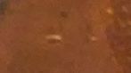 Need-Help-Possible-Error-Lincoln-Cent