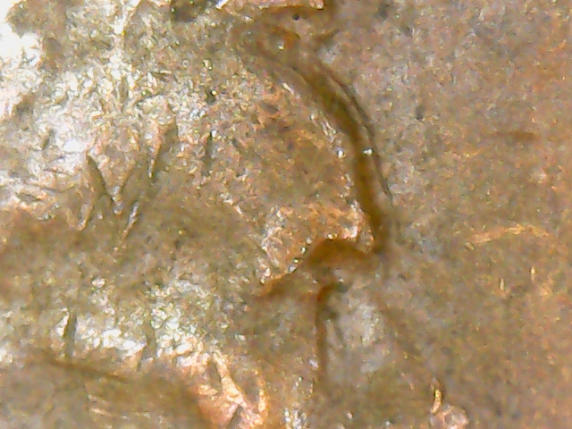 Need-Help-With-1970-S-Lincoln-Penny