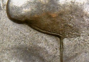 Need-Help-With-A-Kennedy-Half-Dollar