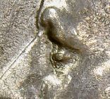 Need-Help-With-A-Kennedy-Half-Dollar