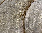 Need-Help-With-A-Kennedy-Half-Dollar