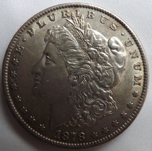 1878-Third-Reverse.-Newbie!