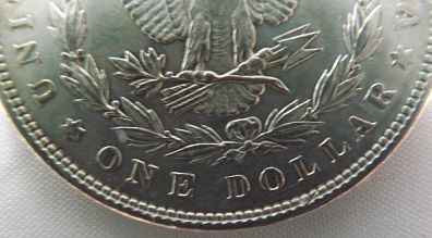 1878-Third-Reverse.-Newbie!