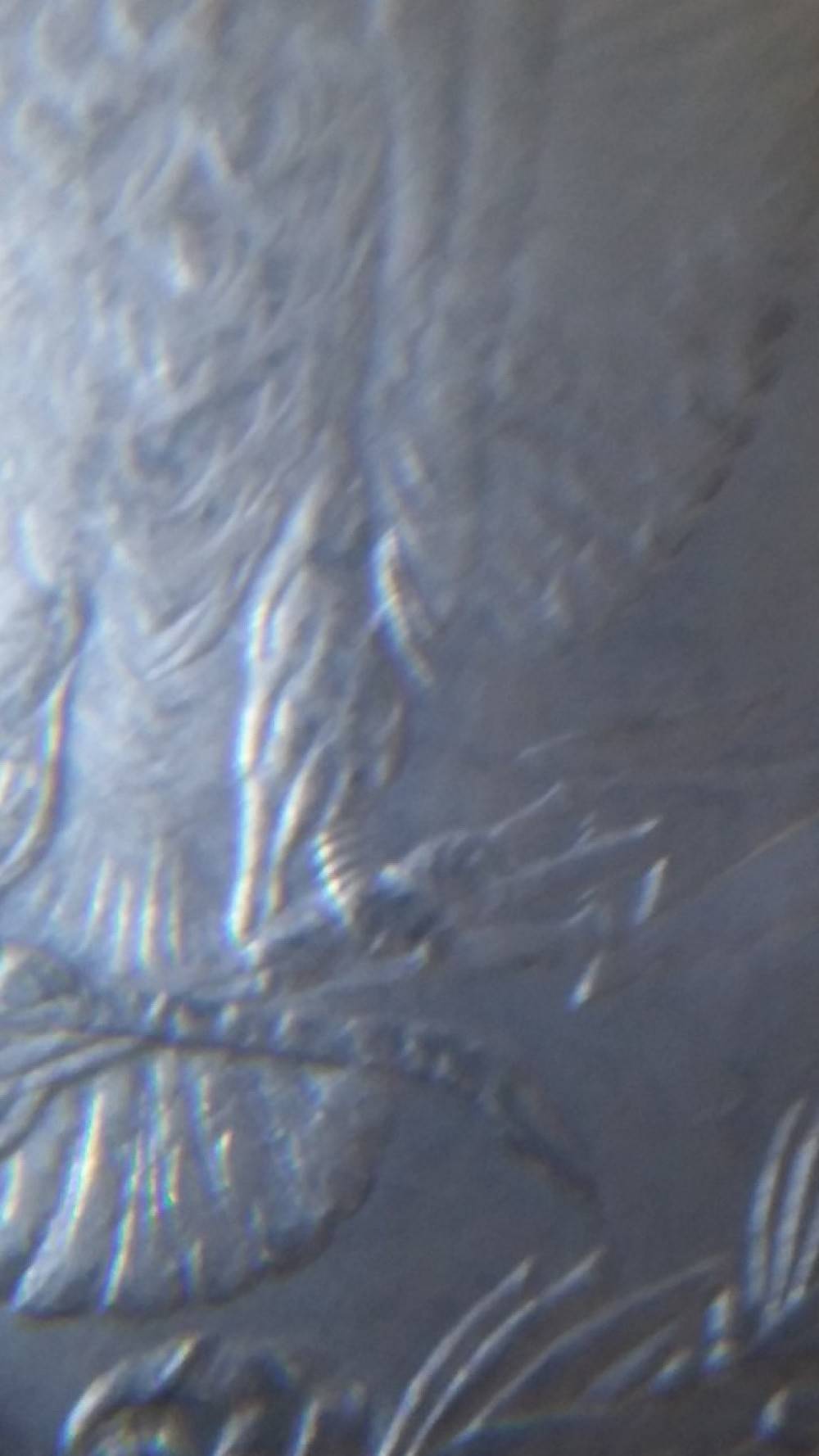1878-8TF-VAM-16?