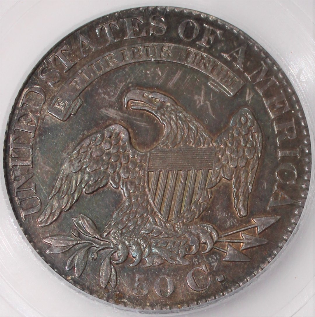 Crossover-Or-Just-Leave-As-Is?-1828-Bust-Half