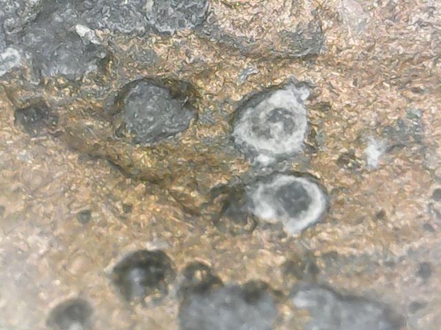 Damaged-Or-Error-83-Lincoln-Penny