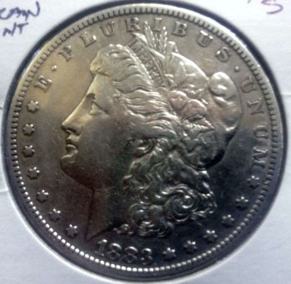 1883-S-Morgan---Please-Grade.
