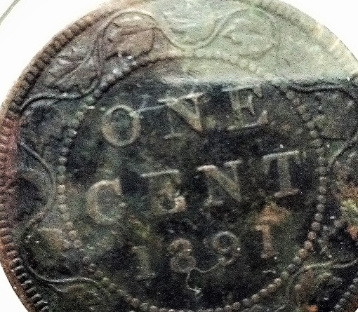 Help-Please-With-Variety-1891-Large-Cent