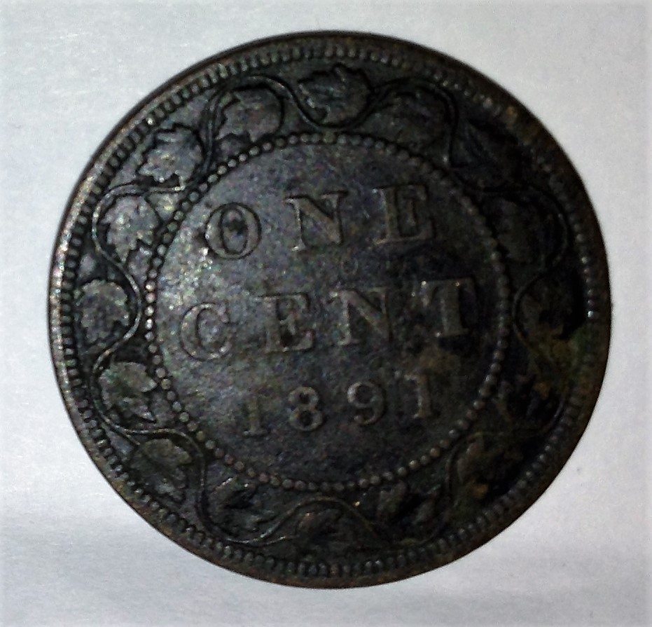 Help-Please-With-Variety-1891-Large-Cent