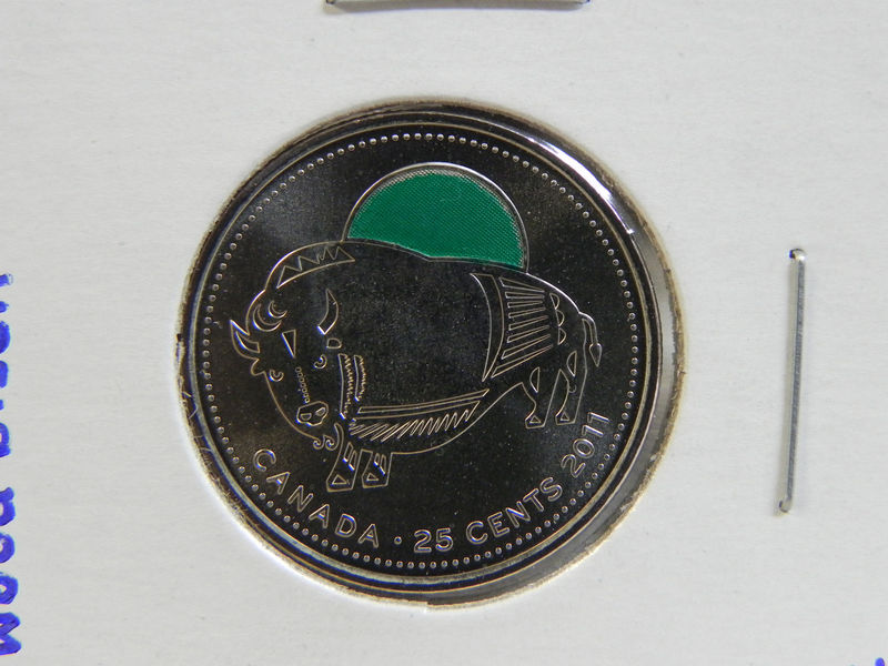 2011-Wood-Bison-Coloured-Quarter